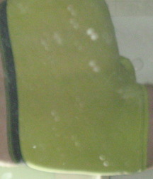 my butt 56cfc3ef93e69.jpg