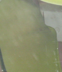 my butt 56cfc3f733d5d.jpg