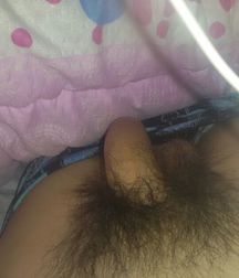 Pictures Cock`s 58e0e89d1d0ac.jpg