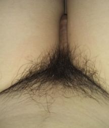 Pictures Cock`s 58e0e89de637f.jpg