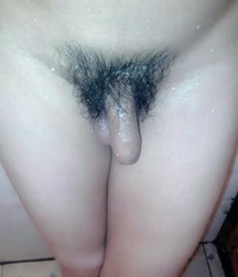 Pictures Cock`s 58e0e89f978e4.jpg