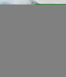 BS Johan 5a07730eb6dbc.jpg