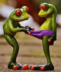 Fun 1 5a2f11e59b082.jpg