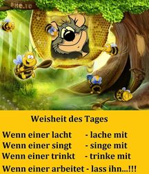Fun in German Language 5b315d31d935c.jpeg