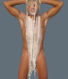Blondies 1037 5c5700bdbe5bd.jpg