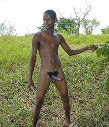 Cocks 4135 5cd09795e4a7a.jpg