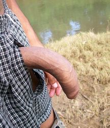 BaHo 3050 5d1142c38f577.jpg