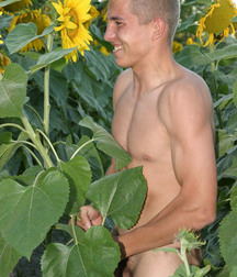 Nice Boys Mix 681 5d335995cb577.jpg