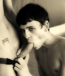 Cocks 4276 5d7fc82b1666e.jpg