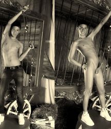 Cocks 4366 5e2e0fdbab487.jpg
