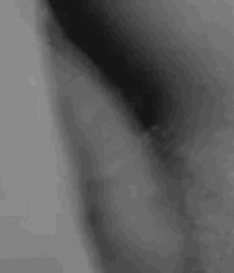 Hot guys 5c56b6b718c5e.gif