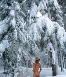 Snow Bunnies 56ddf1c14da10.jpg