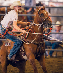Billy's Hot Picks 79 5743234ca2291.jpg