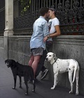 Billy's Hot Picks 117 5750baaa31826.jpg