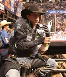 Billy's Hot Picks 215 57794a1377835.jpg