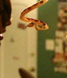 Billy's Hot Picks 329 57a3fdb9dc787.jpg