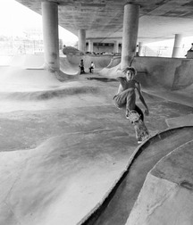 Billy's Hot Picks 369 57b1069350dc9.jpg