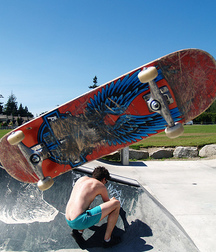 Billy's Hot Picks 370 57b10d6c46f52.jpg