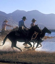 Billy's Hot Picks 407 Cowboys 57bcea2860840.jpg