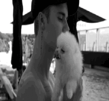 Billy's Hot Picks 416 Justin BIeber Gifs 57be76fb6edfa.gif