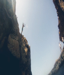 Billy's Hot Picks 424 57c0b60426710.gif