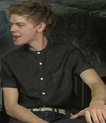 Billy's Hot Picks 425 57c31e905bffd.gif