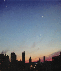 Billy's Hot Picks 425 57c31e93a1818.gif