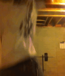 Billy's Hot Picks 464 57cf28f385563.gif
