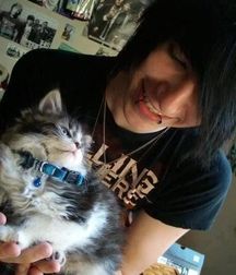 Billy's Hot Picks 486 Kittens 57db096abbc76.jpg