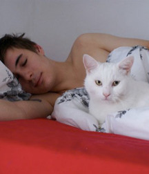 Billy's Hot Picks 486 Kittens 57db096c0600f.jpg