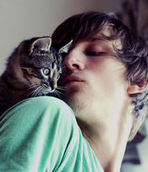 Billy's Hot Picks 486 Kittens 57db0972b3f09.jpg