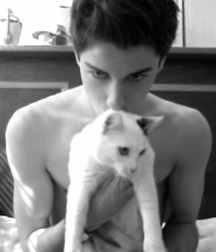 Billy's Hot Picks 486 Kittens 57db097493dcf.jpg