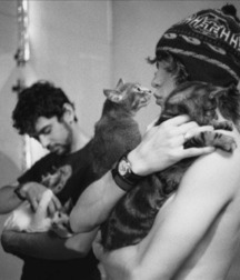 Billy's Hot Picks 486 Kittens 57db0977ee944.jpg
