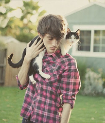 Billy's Hot Picks 486 Kittens 57db097ae80e8.jpg