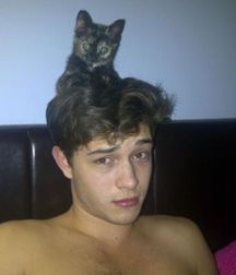 Billy's Hot Picks 486 Kittens 57db097bb7494.jpg