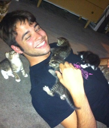 Billy's Hot Picks 486 Kittens 57db097c78940.jpg