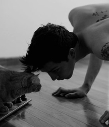Billy's Hot Picks 486 Kittens 57db097e99ff6.jpg