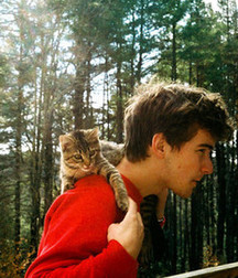 Billy's Hot Picks 486 Kittens 57db097f5680c.jpg
