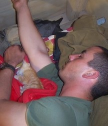 Billy's Hot Picks 486 Kittens 57db098000527.jpg