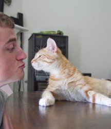 Billy's Hot Picks 486 Kittens 57db0981cdf71.jpg
