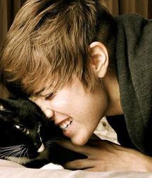 Billy's Hot Picks 486 Kittens 57db0982a61a0.jpg
