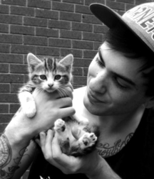 Billy's Hot Picks 486 Kittens 57db09835193d.jpg