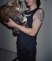 Billy's Hot Picks 486 Kittens 57db09851d6f8.jpg