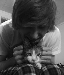 Billy's Hot Picks 486 Kittens 57db09868bf08.jpg