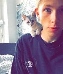 Billy's Hot Picks 486 Kittens 57db098c5954f.jpg