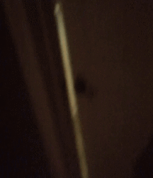 Billy's Hot Picks 506 Gifs 57e1babf29bf9.gif