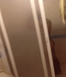 Billy's Hot Picks 511 Gifs 57e42b5baa549.gif
