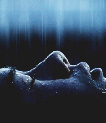 Billy's Hot Picks 574 Gifs 5803bbe01e5ce.gif