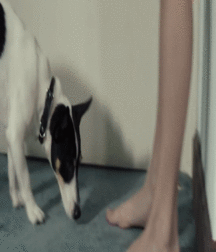 Billy's Hot Picks 574 Gifs 5803bbf34fa09.gif