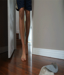 Billy's Hot Picks 586 Gifs 58098061bd4cb.gif